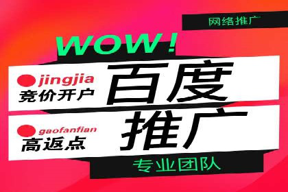 百度竞价优化技巧：成功案例分享